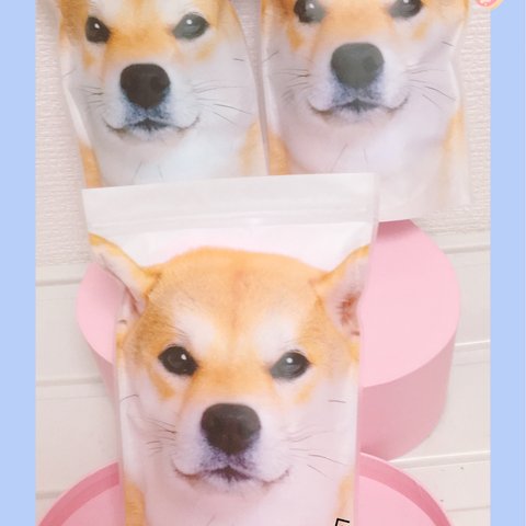 柴犬いっぱい！綿菓子🐕🐕🐕3匹セット❣️