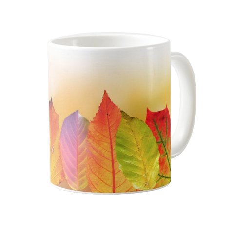 秋の落ち葉のマグカップ：フォトマグ（ 自然の情景シリーズ ）
