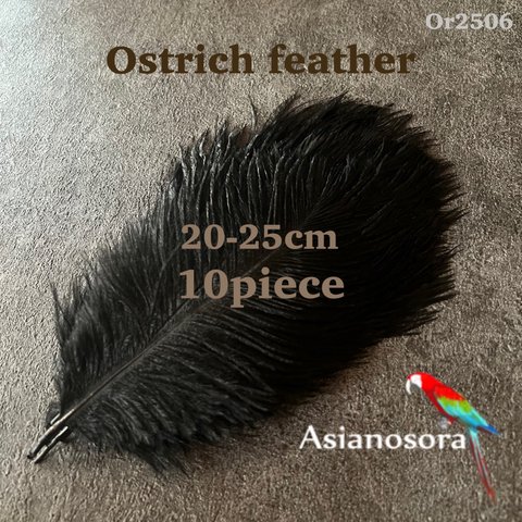 【Or2506黒 20-25cm】オーストリッチ10本 羽根 インテリア パンパスグラス　ブーケ 結婚式 パーティー 舞台 衣装 鳥の羽根 ダチョウ