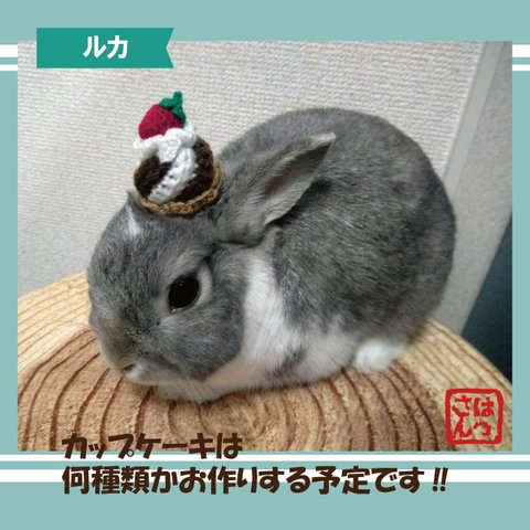 うさぎ用🐰カップケーキ帽子🧁