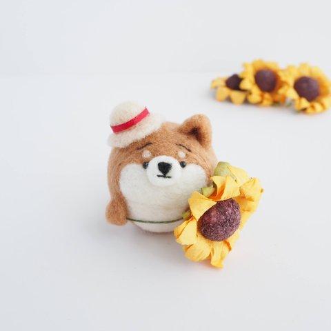 【受注製作】-夏限定- まゆ柴犬がひまわりを贈ります。(赤柴・黒柴・白柴)  ニードルフェルト