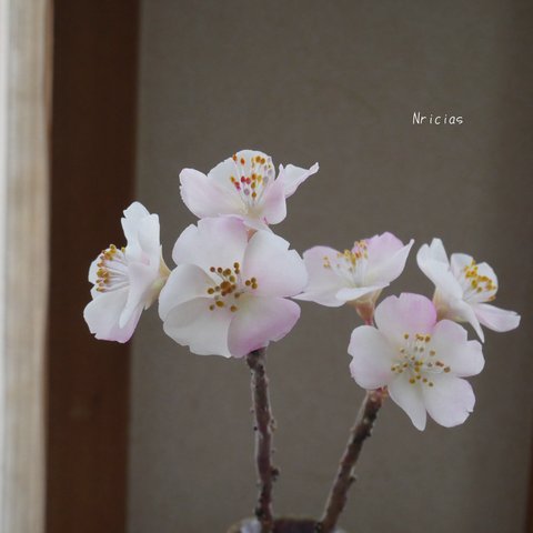 （再販）枯れない桜 ✿クレイフラワーNO.S3−3