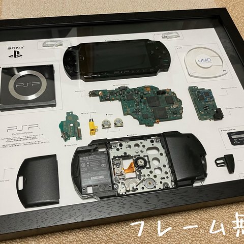 PSP PlayStationPortable 標本アート 自作