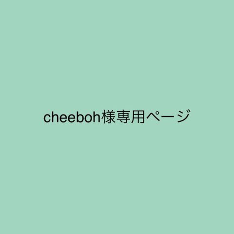 cheeboh様専用ページ（移動ポケット５点）