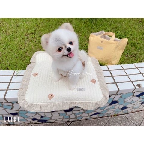 再販 新作 可愛い カフェマット 犬用品 韓国系 韓国生地 マット くまさん