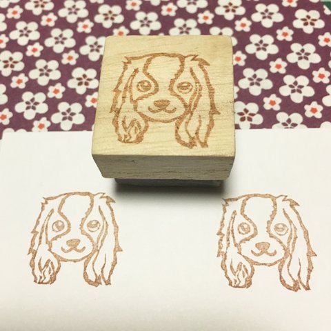 ワンコはんこ【キャバリアキング】2.5×2.5㎝四方