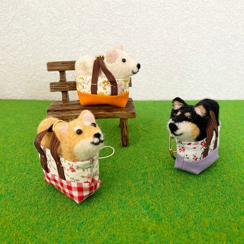 おでかけわんこ　柴犬