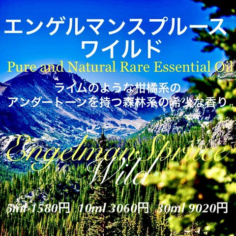 【アンダートーンに柑橘系の香りを感じる爽やかな森林の香り】エンゲルマンスプルースワイルド精油10ml