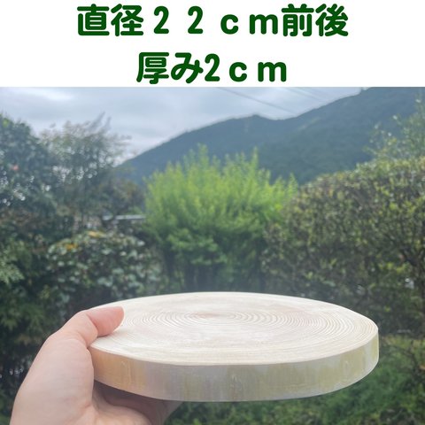 皮無しヒノキのスライス　直径22cm前後　厚み2cm