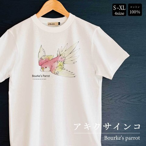 Tシャツ｜アキクサインコBourke's parrot