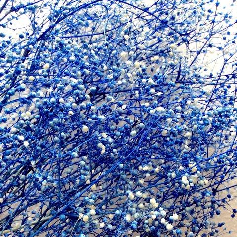 ソフトミニかすみ草   ブルー×ホワイトのグラデーションカラー　３ｇ　バーバリウム・キャンドル・ワックスサッシェ
