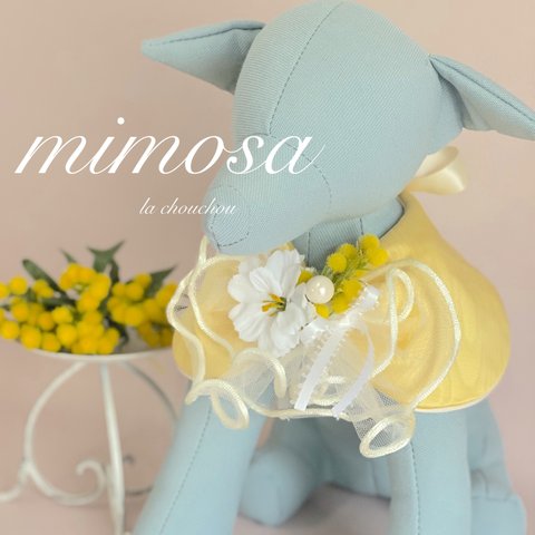 ミモザ＊tippet（フリルレース）♡送料無料♡春♡mimosa♡ティペット♡ペット用ケープ♡ティペット♡ケープ♡つけ襟♡トリミング♡誕生日♡バースデー♡撮影用