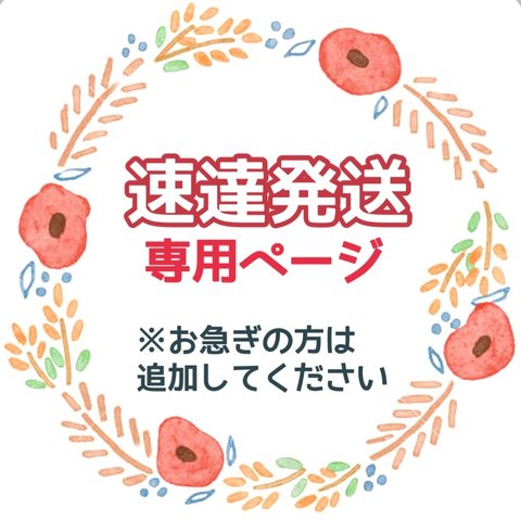 【速達発送】お急ぎの方はこちらを追加購入してください【最短翌日】