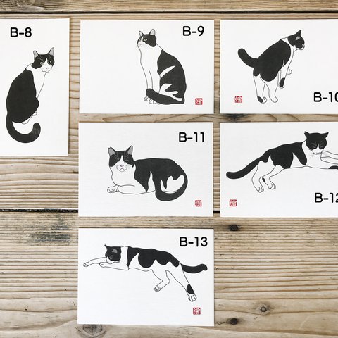 選べる猫のポストカード　5枚セット「B」