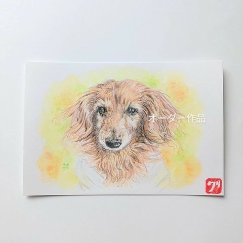 オーダー品　ペット似顔絵　ペットイラストオーダー　犬イラスト　参考作品