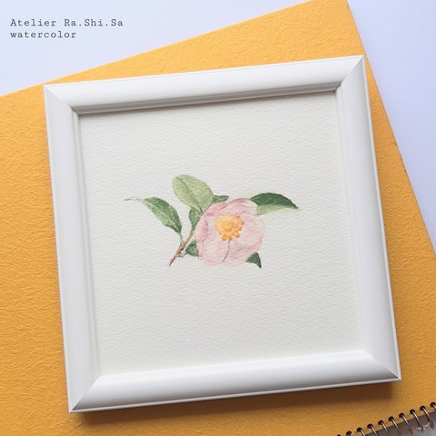 原画「冬の花をたのしむ 山茶花の花」水彩画　額付き