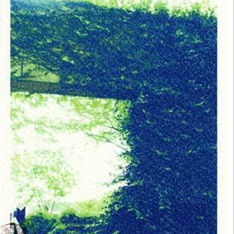 【Post Card* 選べる3枚セット】No:c*-007 * Bright green