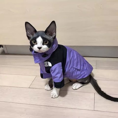 猫服 ペット服 ネコ 色合わせ猫アウトドアジャケット 3色 ボア付き可能 秋 冬 春 防寒 猫ジャケット スフィンクス おしゃれ 格好いい フリースジャケット