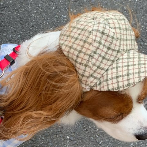 犬用帽子ベージュチェックキャップ