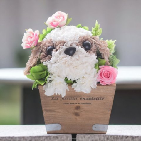 【シーズー】フラワーペット／プリザーブドフラワー  カーネーション 犬 動物 花  母の日 フラワーギフト ペット 誕生日 