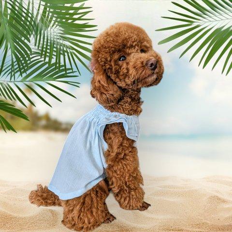 犬服 ふんわりギャザーワンピース 春夏ワンピ 完成品