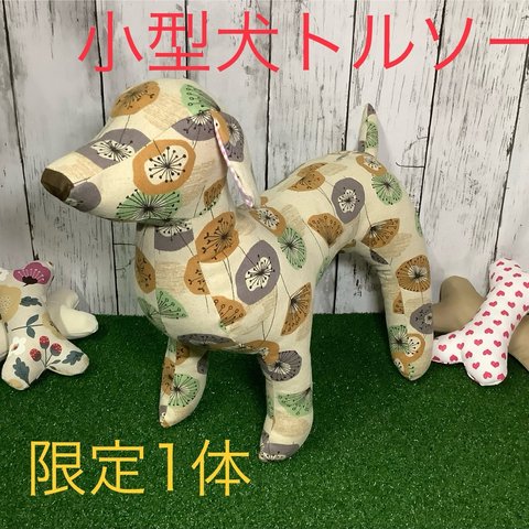 《1点もの》小型犬トルソーハス柄[送料込み]