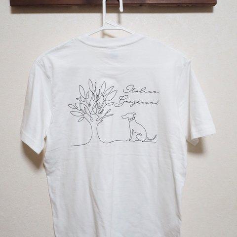 イタグレ　Ｔシャツ　お座り