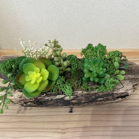 流木　多肉寄せ植え