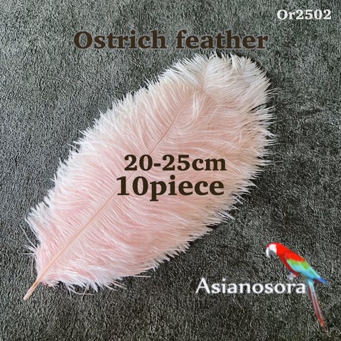 【Or2502薄ピンク20-25cm】オーストリッチ10本 羽根 インテリア パンパスグラス　ブーケ 結婚式 パーティー 舞台 衣装 鳥の羽根 ダチョウ