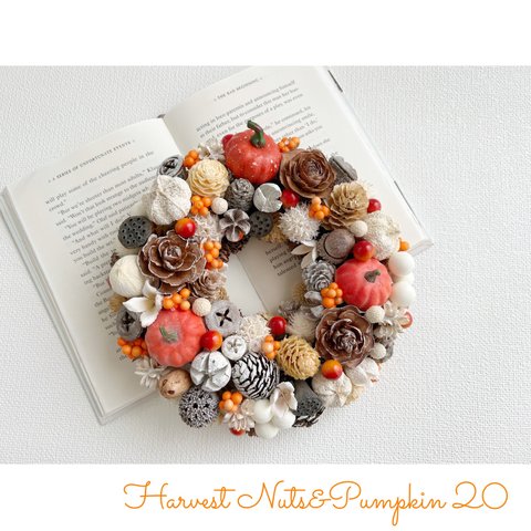 送料込＊Harvest Nuts&Pumpkin Wreath 20