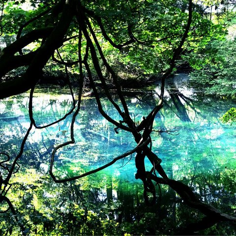 ポストカードサイズ　神秘の泉　山形県のパワースポット　丸池様  DSCF2393-01-01