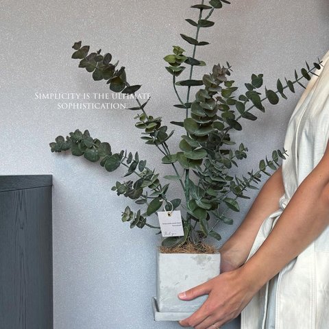 【室内用ユーカリグニー】造花  送料600円 ギフト◎ 中型観葉植物 新築 