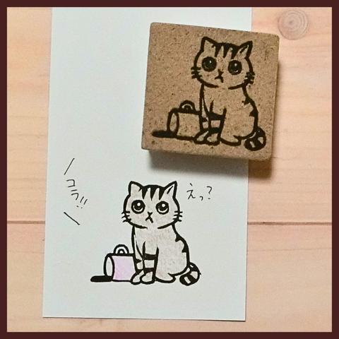 ねこいたずら(トラ)