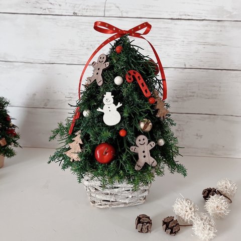 再販・真っ赤なりんご🍎とスノーマンとジンジャー　ステッキ＊ツリー🎄赤くて可愛いアイテムクリスマスツリーアレンジ　シンプル・ナチュラルなツリーと一緒に飾り付け　テーブルクリスマス　プレゼントに♪♪ 
