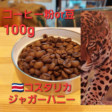 コーヒー粉orコーヒー豆100g　ジャガーハニー