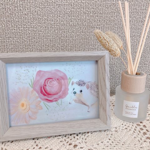 水彩画　ハリネズミとお花