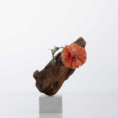 流木一輪挿し | driftwood flowervase | tane no.2
