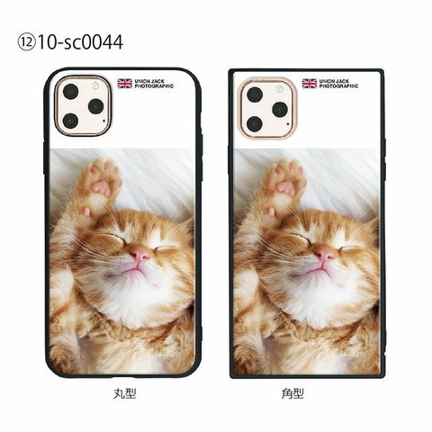 ガラス保護フィルム付 iPhone 11 Pro Max ケース 【CAT】