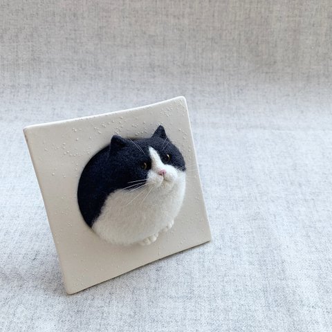 鉢猫 - 白黒はちわれ猫 -