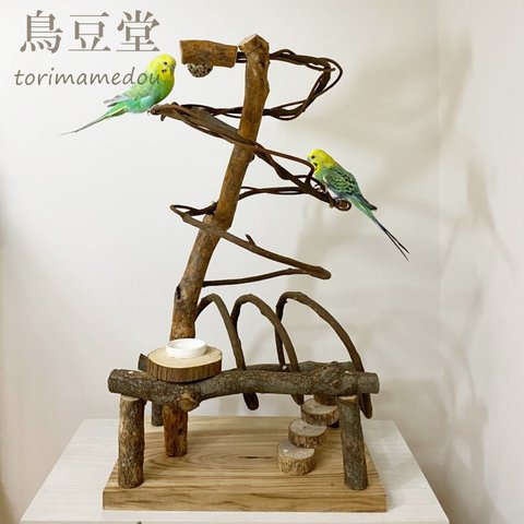 【チマチマ様専用】自然木（ツタ・楠・檜）のぐるぐるバードアスレチック【セキセイインコ・ボタンインコ・オカメインコ】