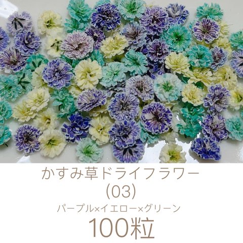 (03)かすみ草ドライフラワー100粒