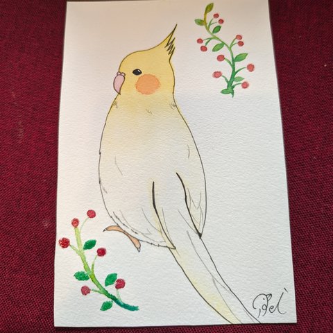 小鳥さんの似顔絵オーダー