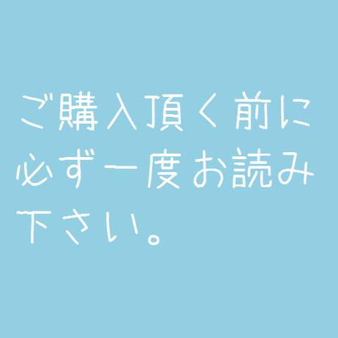 ご購入頂く前に必ずお読み下さい