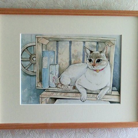 ネコの水彩原画　「箱入り娘」