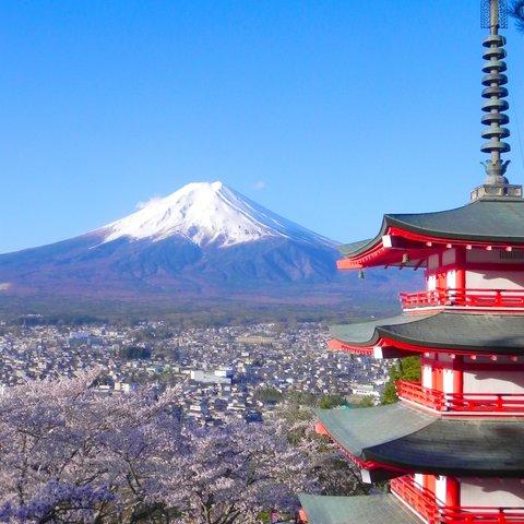 世界遺産 富士山と桜と五重塔 写真 A4又は2L版 額付き 縦
