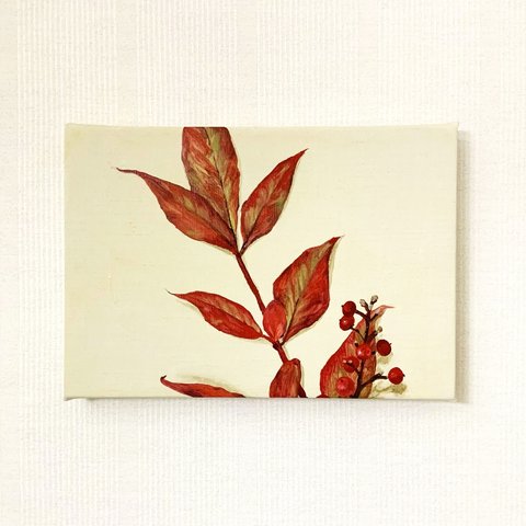 植物画 木の実 「見つけた 2」