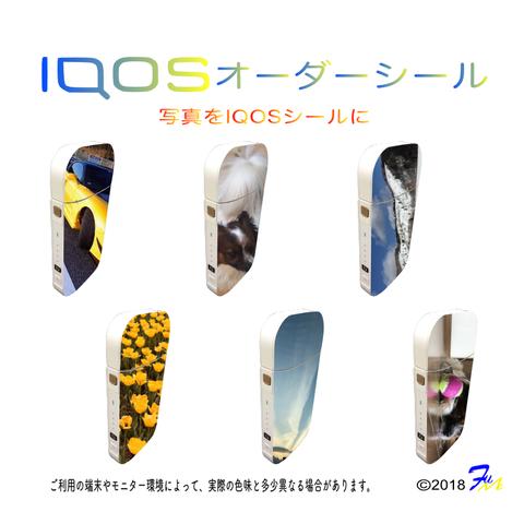 IQOS【アイコス】オーダーシール