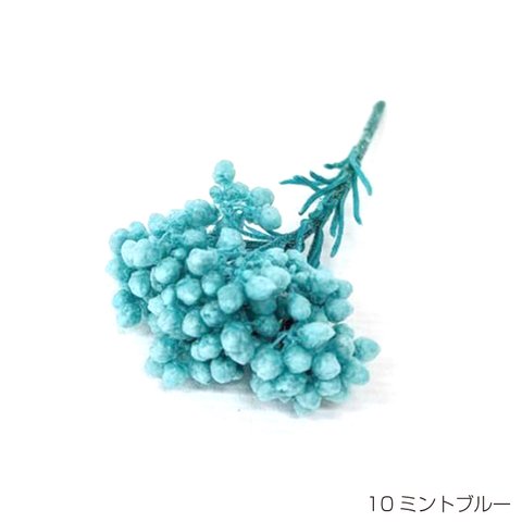 【即納】 ライスフラワー パステルシリーズ 70g ミントブルー プリザーブドフラワー 花材 小さい花 花 プリザーブド花材 ハンドメイド パーツ アクセサリー 資材 水色 青