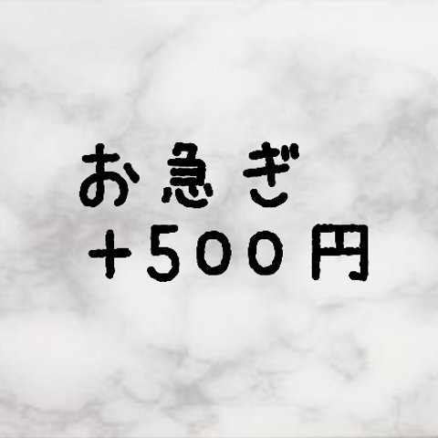 お急ぎ便  ＋500円