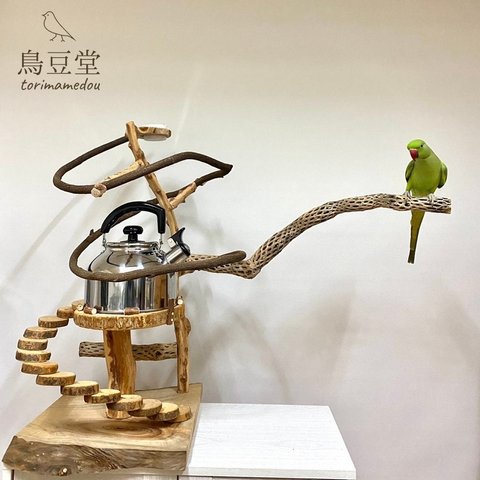 【展示用】カクタスと自然木（ツタ）のぐるぐるバードアスレチック　スタンドパーチ　インコ　バードジム　鳥
